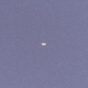 Meet your Posher, Caleb